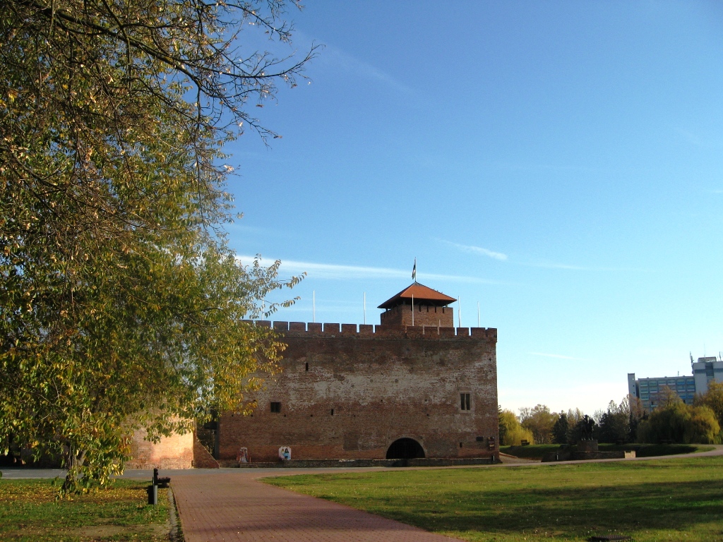 Cetatea Gyula