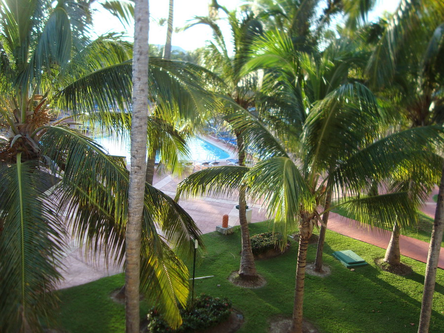 hotel punta cana republica dominicana