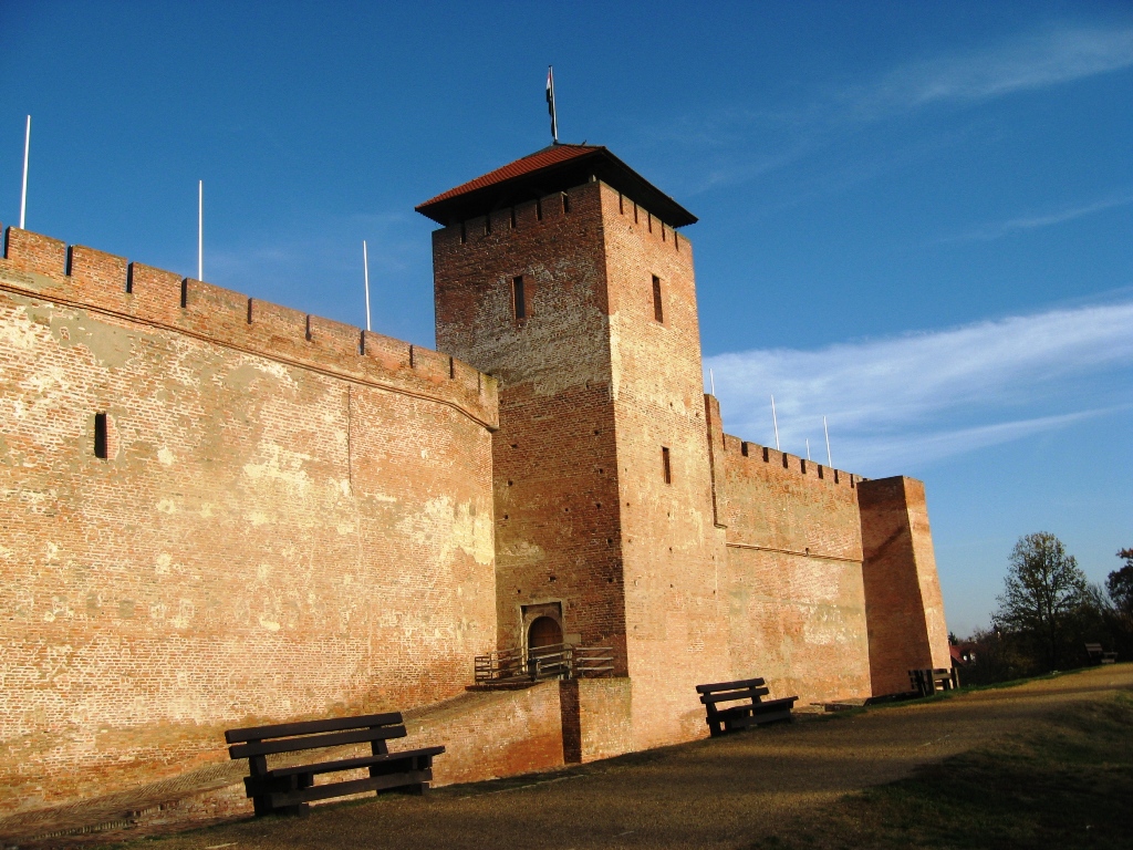 Cetatea Gyula (1)