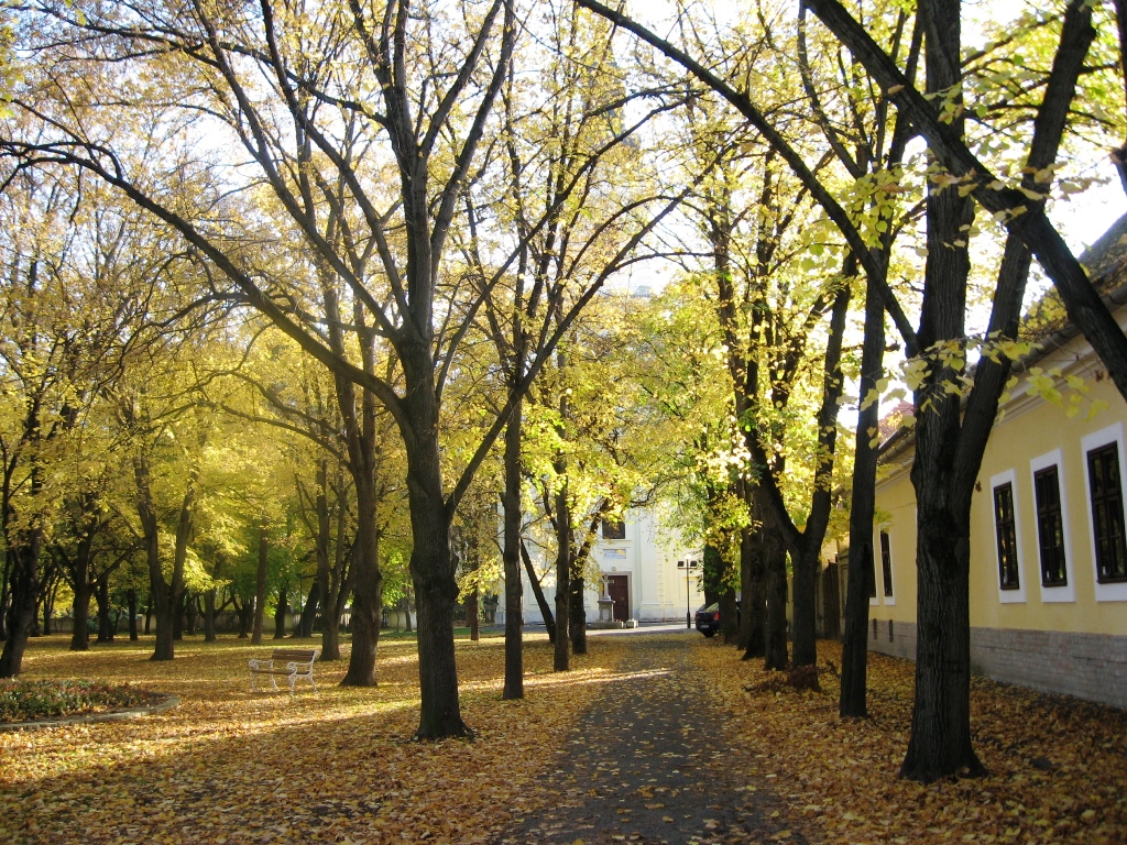 Parcul cu Catedrala Sf. Nicoara