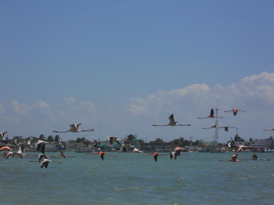 vacanta in mexic cancun playa del carmen