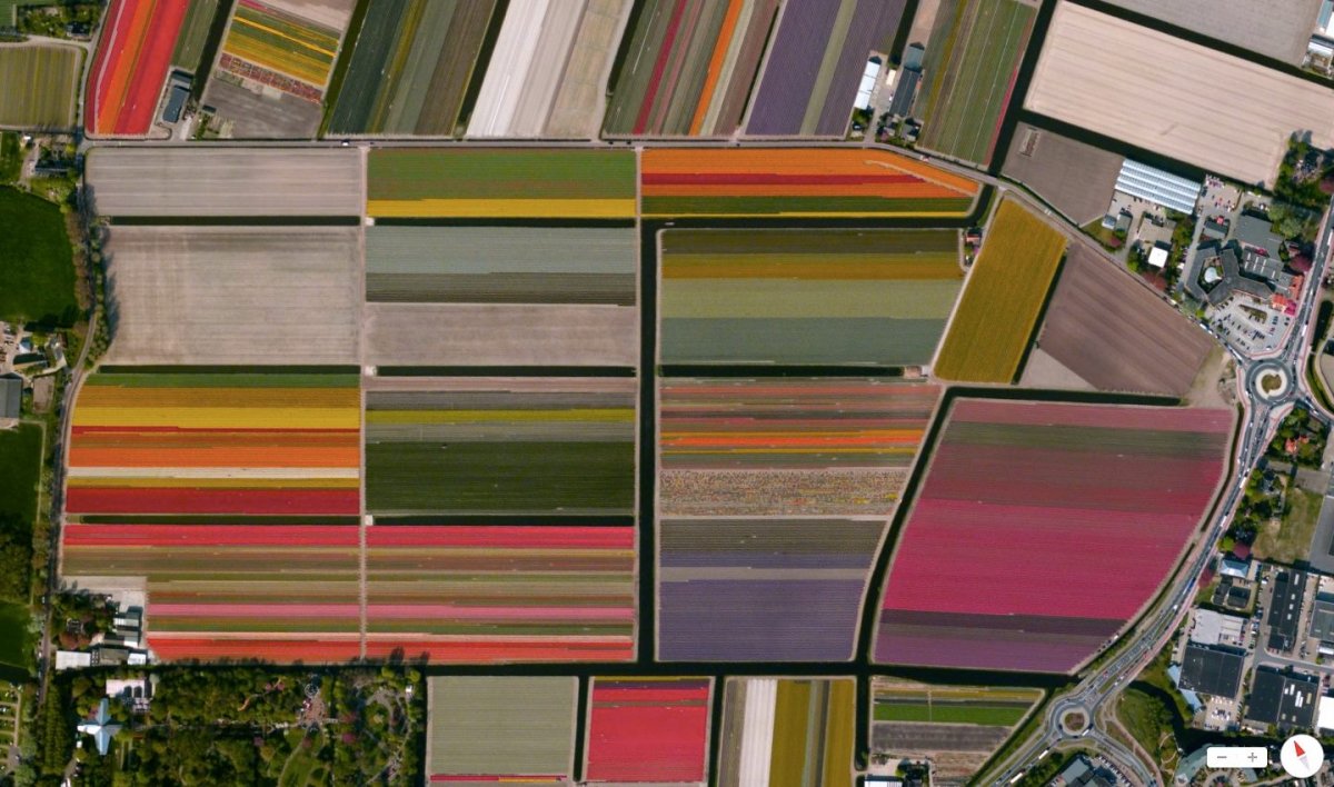 Campuri-de-lalele-din-Olanda-vazute-din-satelit