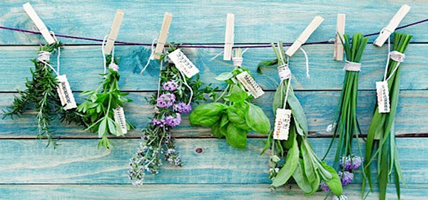 Greek-Herbs