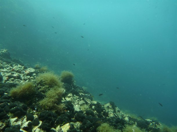 scuba-diving-thassos-scufundari (75)
