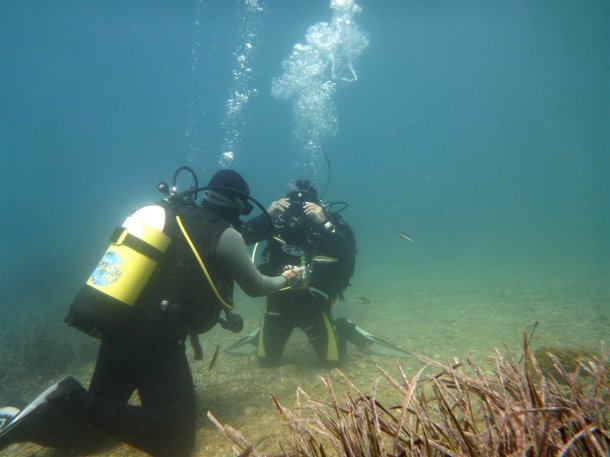 scuba-diving-thassos-scufundari (121)